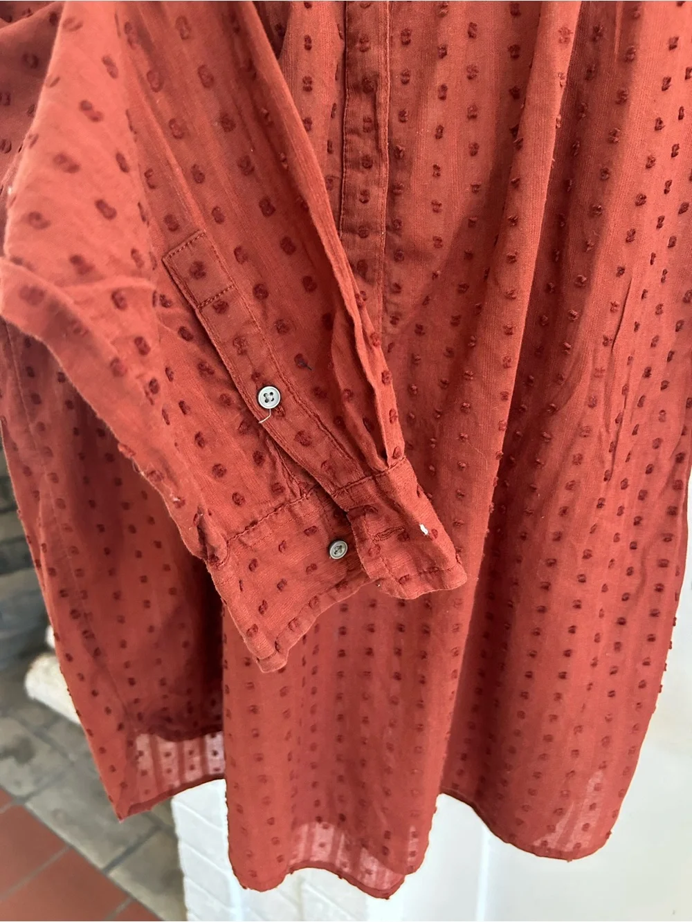 J. Crew Point Sur Swiss Dot Ruffle Collar Rust Long-Sleeve Top Size 10